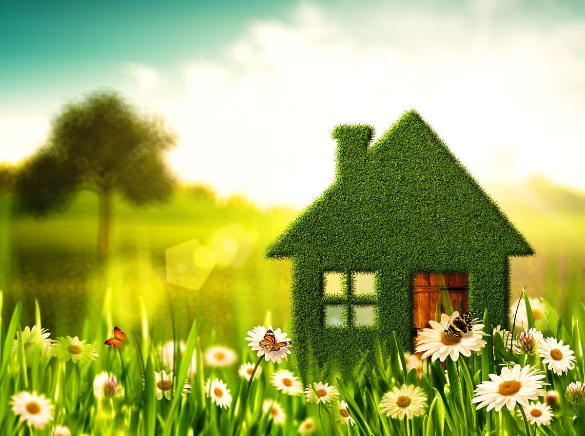 ekologiczny i zielony dom
